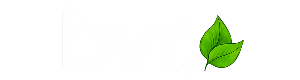 BVR STORE